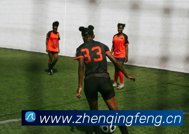 多媒体互动体验